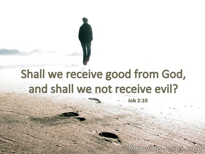 Shall we indeed accept good from God, and shall we not accept adversity?